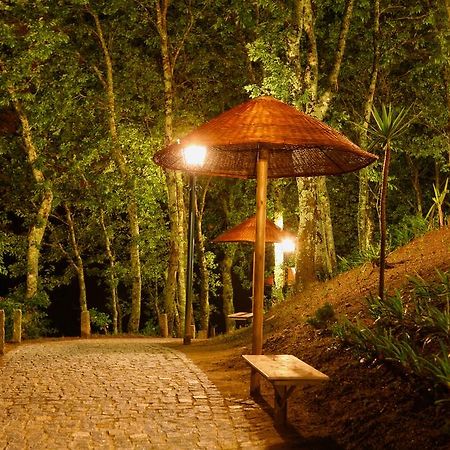 Вілла Quinta Da Costa Vila da Lixa Екстер'єр фото